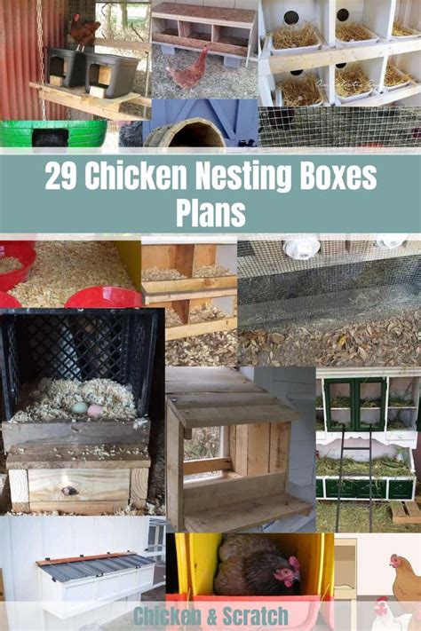 29 Chicken Nesting Boxes Plans You Can Diy This Weekend