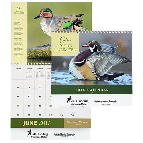 Ducks Unlimited Calendar Gun Raffle A Chance To Support Conservation