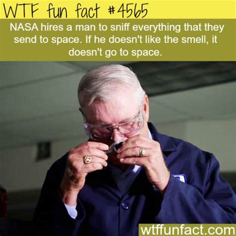 Weird Facts That Are Almost Too Crazy To Be True Pics Izismile