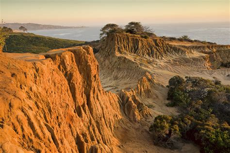 Southern California And Nevada Joseph Choi