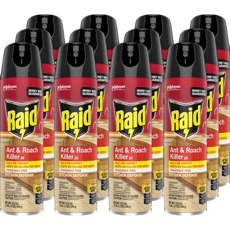 Raid Ant/Roach Killer Spray - Spray - Kills Ants, Cockroaches, Waterbug ...