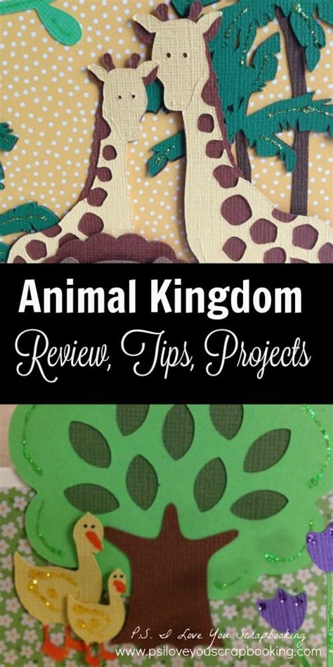 Animal Kingdom Cricut Cartridge Review Ps I Love You Crafts