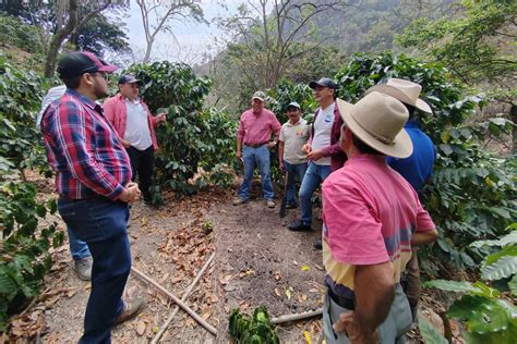 Productores Del Corredor Seco Aprenden A Fortalecer Cultivos