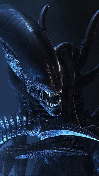 Alien Xenomorph Wallpaper