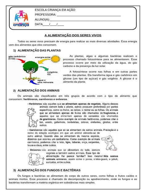 Alimentacao Dos Seres Vivos - Alimentação dos Seres Vivos | PDF