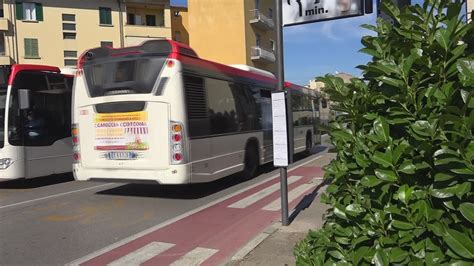 Bus Urbani Ancora Disservizi Youtube