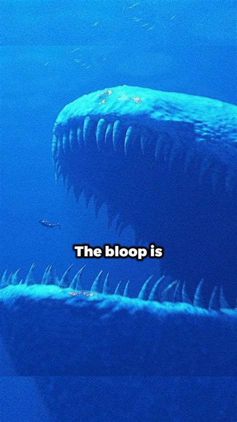 The bloop | Scary ocean, Fun facts about animals, Ocean creatures