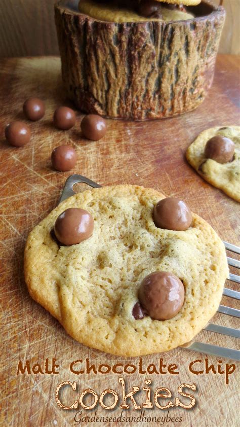 Malt Chocolate Chip Cookies - Garden Seeds and Honey Bees