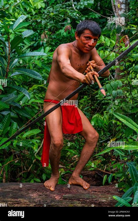 Hombre Yanomami Con Arco Y Flecha En Un Tronco Tribu Yanomami Sur De