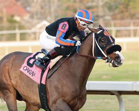 DWBS 130: Oaklawn Park Weekend PREVIEW - Racing Dudes