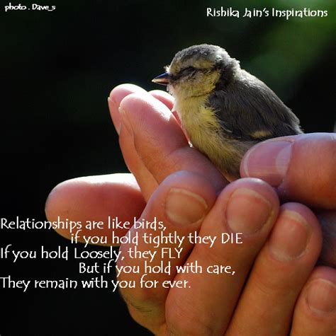 Inspirational Quotes Bird. QuotesGram