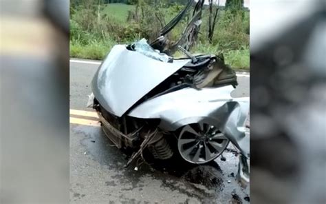 Carro bate em árvore se divide em duas partes e motorista sobrevive