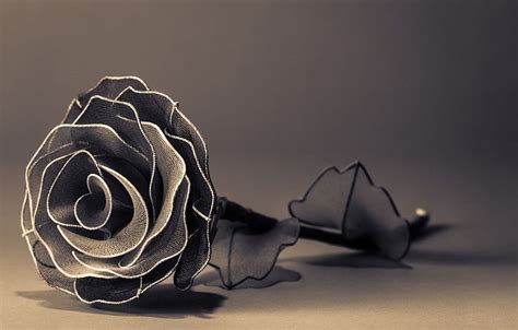 Flowers Background Black And White Rose Petals Background