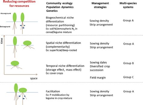 Multiple Cropping Systems As Drivers For Providing Multiple Ecosystem Services From Concepts To