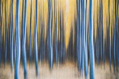 painted edge overlay nicolesy