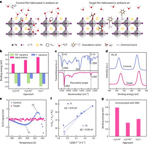 Characterization Of The Interaction Between Perovskite And GBA A