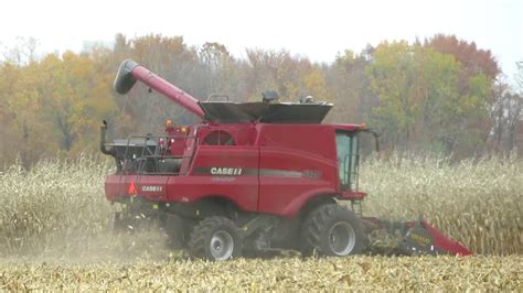 Harvest 2020 Case IH 5140 Axial Flow Combine Harvesting Corn Corn