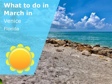 What To Do In June In Miami Florida 2025 Winter Sun Expert