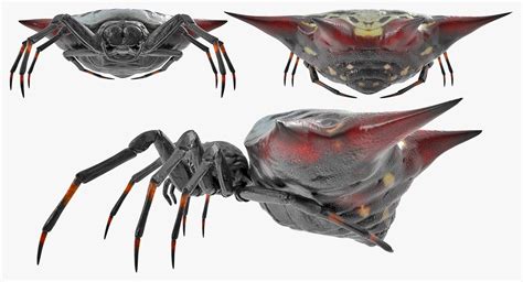 Spiny Orb Weaver Spider 3D Modell 3D Modell 99 Gltf Ma Max Obj