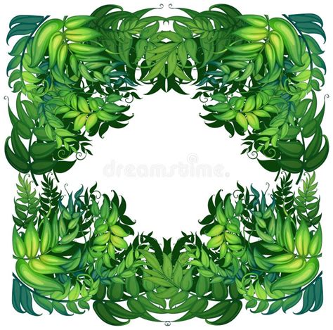 Border Template with Green Leaves Stock Vector - Illustration of leaf ...