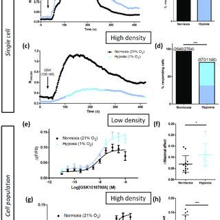 Hypoxia Only Potentiates TRPV4 Induced Ca 2 Responses In Transiently