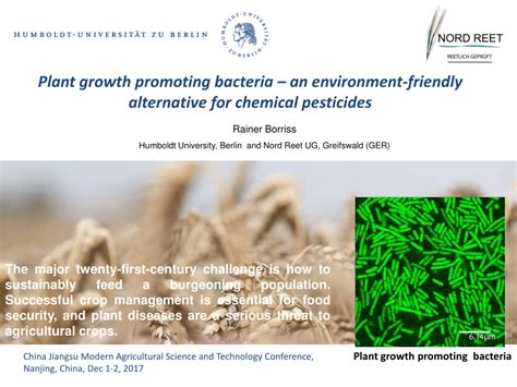 PDF Plant Growth Promoting Bacteria An Environment Friendly