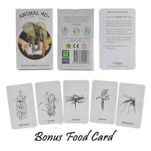 Animal 4D+ alphabet cards for kids boys & girls education with 5 food card bonus | eBay