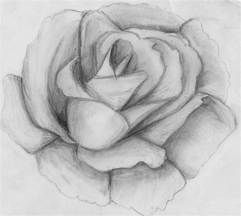 Pin De Mª Rosario En Dibujo A Lapiz Dibujos De Rosas Dibujos Dibujos A Lápiz