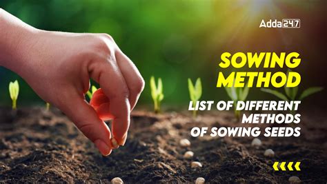 Sowing Method List Of Different Methods Of Sowing Seeds