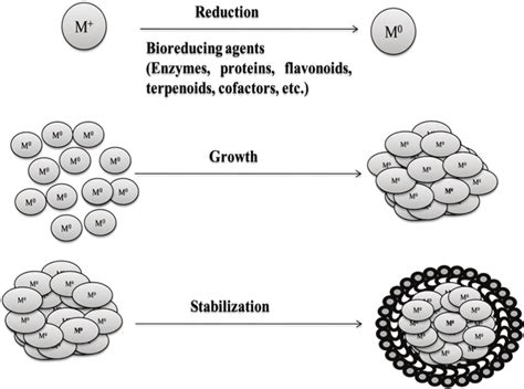 3 Steps involved in nanoparticle synthesis [90]. | Download Scientific ...