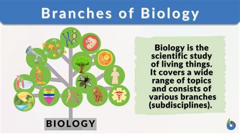 Branches of Biology - Biology Online Dictionary