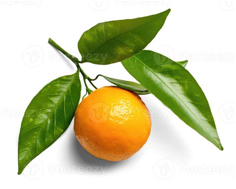 Orange Fruit With Leaves Transparent Background 22787342 PNG