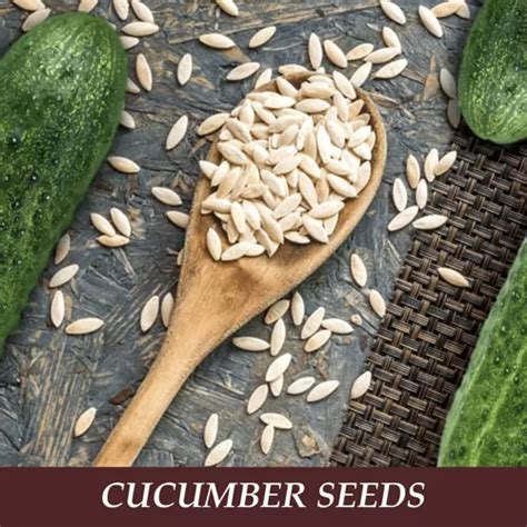 Cucumber Seeds - Occasions Dry Fruit