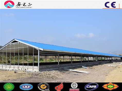 Steel Structure Prefabricated Building Poultry Farms For Chicken