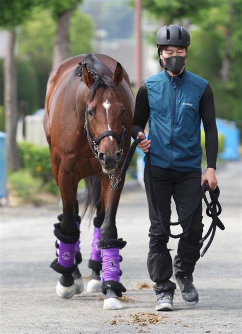 【ダービー】ドウデュース事前発表の馬体重6キロ減も友道師「輸送で減る馬ではない。予定通り」 3歳馬特集 競馬 日刊スポーツ