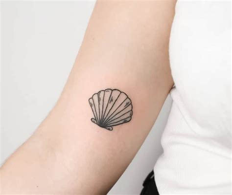 Top More Than Simple Seashell Tattoo Super Hot In Coedo Vn