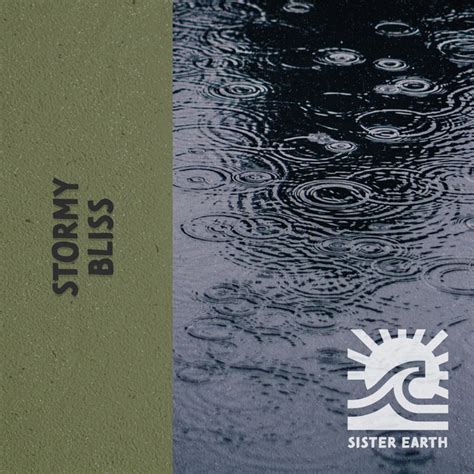 Stormy Bliss Rain And Water Amidst The Moors Album By Rain Sounds