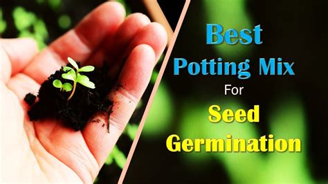 Best Potting Mix And Potting Soil For Starting Seeds Youtube