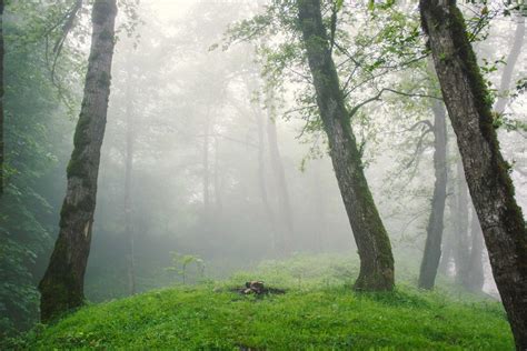 Ebrar Karakurt Kimdir