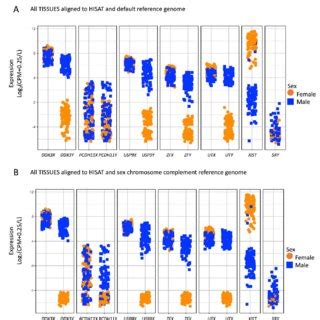 PDF Reference Genome And Transcriptome Informed By The Sex Chromosome