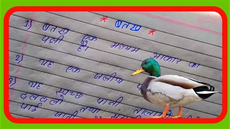 10 lines On Duck In Hindi बतख पर 10 लइन नबध essay on Duck in hindi