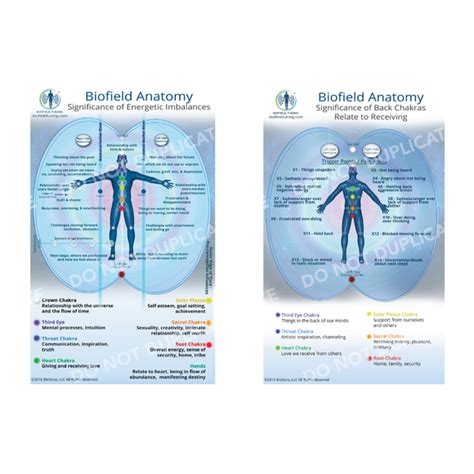 biofield tuning digital small biofield anatomy map biofield tuning