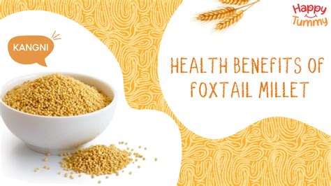 Foxtail Millet Kangni Benefits Nutrition Uses And Side Effects