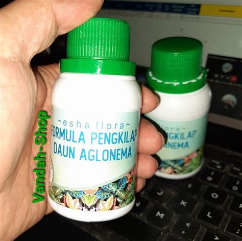 Jual Formula Pengkilap Daun Tanaman Hias Plus Vitamin ZPT By Esha Flora