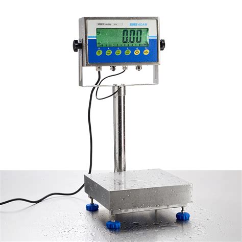 A Complete Guide to Food Industry Scales - Klipspringer