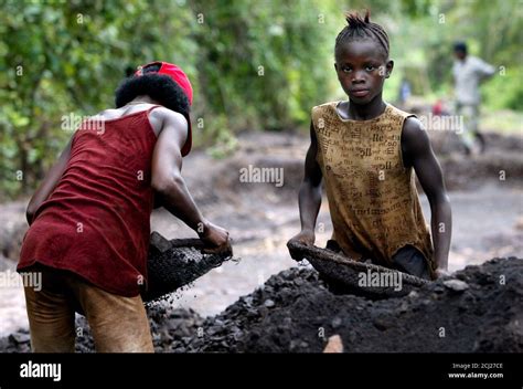 Liberia rainforest hi-res stock photography and images - Alamy