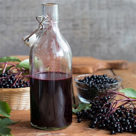 elderberry recipes syrup 1