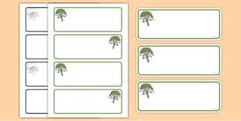 Rowan Tree Themed Classroom Signs Primary Resources Classroom