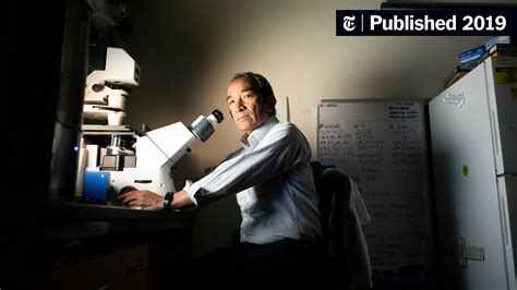 Urinary Tract Infections Affect Millions. The Cures Are Faltering