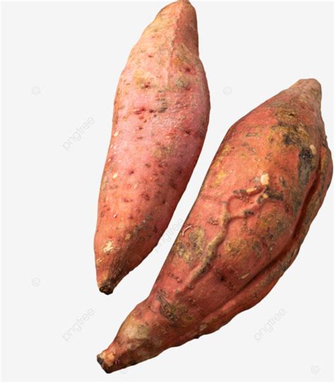 Dessert Sweet Potato Vegetables Dessert Food Sweet Potato Png